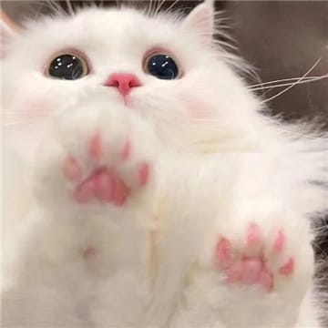 Ảnh đại diện người dùng Hoàng Vũ